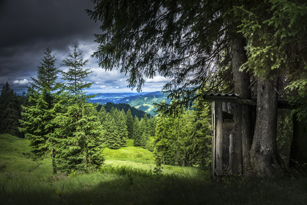 4. Platz Harald Unglert